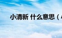 小清新 什么意思（小清新是什么意思）