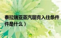 泰拉瑞亚蒸汽朋克入住条件（泰拉瑞亚蒸汽朋克女孩入住条件是什么）