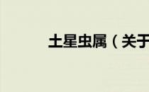土星虫属（关于土星虫属简介）