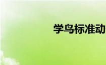 学鸟标准动作要领介绍