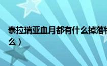 泰拉瑞亚血月都有什么掉落物（泰拉瑞亚血月掉落物品是什么）