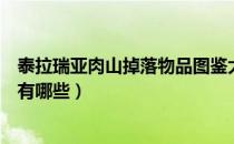 泰拉瑞亚肉山掉落物品图鉴大全（泰拉瑞亚肉山掉落物品都有哪些）