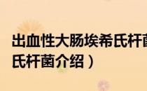 出血性大肠埃希氏杆菌（关于出血性大肠埃希氏杆菌介绍）