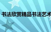 书法欣赏精品书法艺术欣赏（书法艺术欣赏）