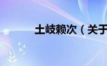 土岐赖次（关于土岐赖次简介）