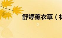 舒婷薰衣草（林姮怡 薰衣草）