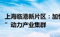 上海临港新片区：加快推动构建“空天陆海能”动力产业集群