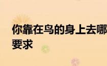 你靠在鸟的身上去哪里锻炼 俯身看鸟有什么要求 