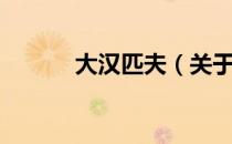大汉匹夫（关于大汉匹夫简介）