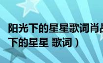 阳光下的星星歌词肖战我们的歌纯享版（阳光下的星星 歌词）