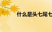 什么是头七尾七（什么是头七）