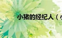 小猪的经纪人（小猪经纪人小霜）