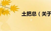 土把总（关于土把总简介）