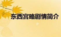 东西宫略剧情简介（东西宫略大结局）