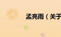 孟亮雨（关于孟亮雨介绍）