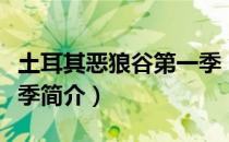 土耳其恶狼谷第一季（关于土耳其恶狼谷第一季简介）