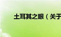 土耳其之眼（关于土耳其之眼简介）