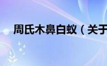 周氏木鼻白蚁（关于周氏木鼻白蚁介绍）