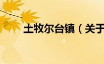土牧尔台镇（关于土牧尔台镇简介）
