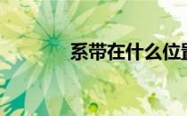 系带在什么位置（系带在哪）