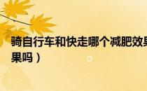 骑自行车和快走哪个减肥效果好（骑自行车对减肥真的有效果吗）