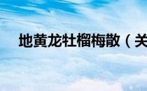 地黄龙牡榴梅散（关于地黄龙牡榴梅散）