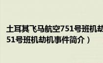 土耳其飞马航空751号班机劫机事件（关于土耳其飞马航空751号班机劫机事件简介）