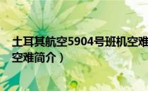 土耳其航空5904号班机空难（关于土耳其航空5904号班机空难简介）