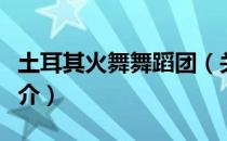 土耳其火舞舞蹈团（关于土耳其火舞舞蹈团简介）