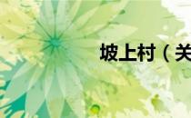 坡上村（关于坡上村）