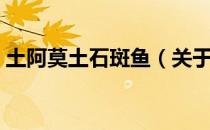 土阿莫土石斑鱼（关于土阿莫土石斑鱼简介）