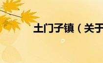 土门子镇（关于土门子镇简介）
