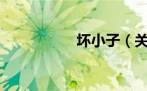 坏小子（关于坏小子）