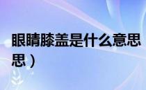 眼睛膝盖是什么意思（墙壁眼睛膝盖是什么意思）