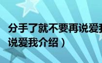 分手了就不要再说爱我（关于分手了就不要再说爱我介绍）