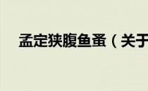 孟定狭腹鱼蚤（关于孟定狭腹鱼蚤介绍）