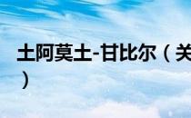 土阿莫土-甘比尔（关于土阿莫土-甘比尔简介）