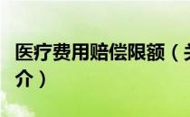 医疗费用赔偿限额（关于医疗费用赔偿限额简介）