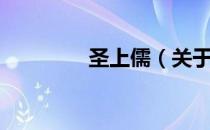 圣上儒（关于圣上儒简介）