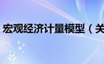 宏观经济计量模型（关于宏观经济计量模型）