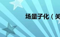 场量子化（关于场量子化）