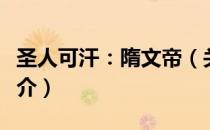 圣人可汗：隋文帝（关于圣人可汗：隋文帝简介）