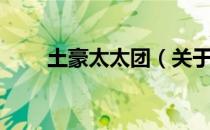 土豪太太团（关于土豪太太团简介）