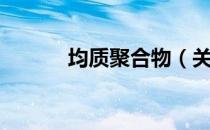 均质聚合物（关于均质聚合物）