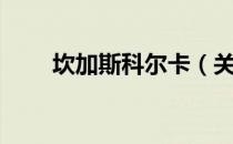 坎加斯科尔卡（关于坎加斯科尔卡）
