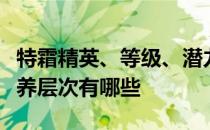 特霜精英、等级、潜力、技能、信任的推荐培养层次有哪些 