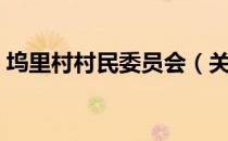 坞里村村民委员会（关于坞里村村民委员会）