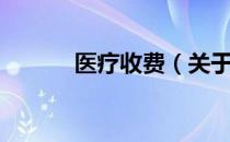 医疗收费（关于医疗收费简介）