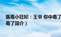 医毒小狂妃：王爷 你中毒了（关于医毒小狂妃：王爷 你中毒了简介）