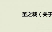 圣之裁（关于圣之裁简介）